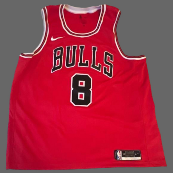 Nike Other - Zach LaVine Chicago Bulls Nike Swingman Basketball Jersey